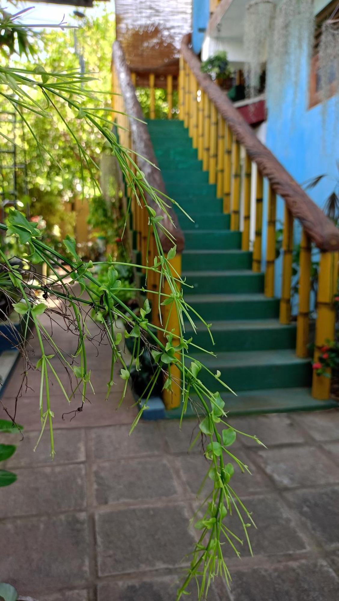 Raj Mahal Inn Wadduwa Exterior photo